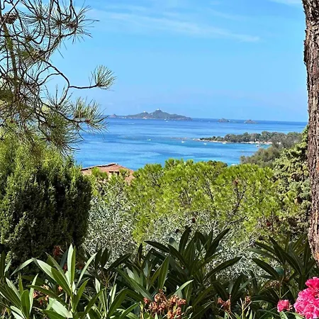 Vue * アジャクシオ