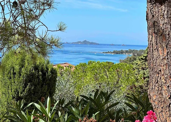 Vue * أجاكسيو