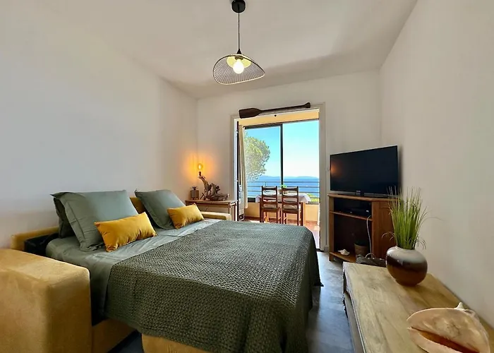 Vue * أجاكسيو